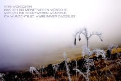 "Vom Wünschen", Lüsens 2021