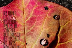 "Von Mysterien", Rotholz 2021