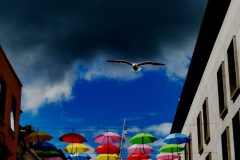 "Waking up", Cardiff 2022