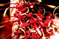 "You are here", New Zealand 2013