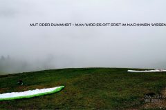 "Mut oder Dummheit", Neustift 2019