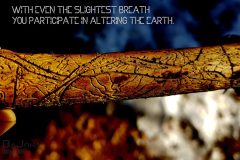 "Alter the earth", Wattens 2018