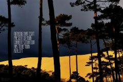 "Dont worry chicken curry", France 2021