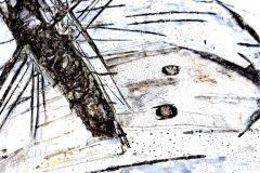 "Hardened soft", Kitzbühel 2019