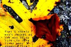 "Magic", Innsbruck 2018