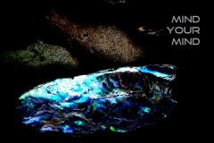 "Mind your mind", Nepal 2014