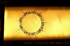 "Shine", Australien 2013