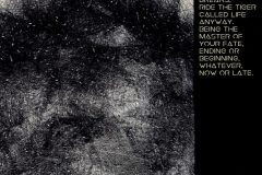 "Tiger called life", Innsbruck 2018