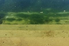 "Ur-Urvertrauen", Wien 2022